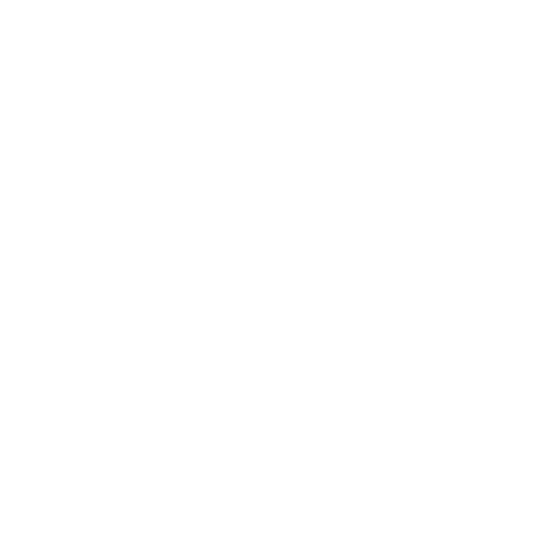 Salud Healthcare